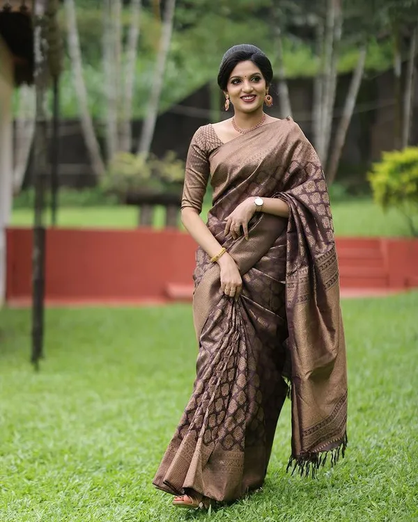 BROWN_KANJIVARAM_SILK__SAREE